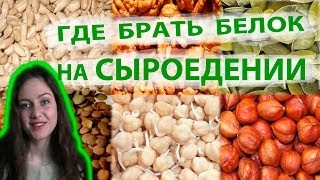 сыроедение. Где брать БЕЛОК? Многообразие сыроедного белка