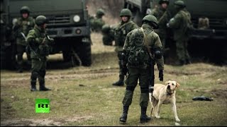 Эксперт: Возвращение Крыма в состав РФ — это реакция на провокационные действия Запада