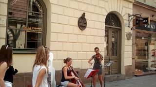 Очень красивое музыкальное исполнение - Скрипка, контрабас