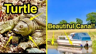 Boaty Booty TURTLE-Y Bonus! (An amazing canal & countryside wander!)
