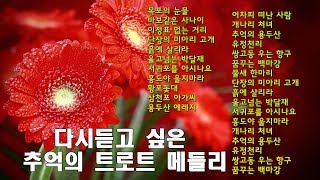 (신나는)디스코 트로트 메들리 - 가슴을 촉촉 적시는 트로트 메들리
