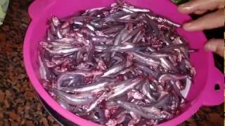 مشترياتي من السوق وكمان تخليل البساريا