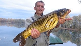 Рыбалка осенью, ловля карпа, форели , угря, октябрь