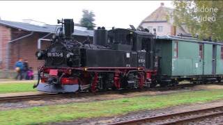 Herbstdampf bei der Döllnitzbahn - Züge - Dampflok -Trains