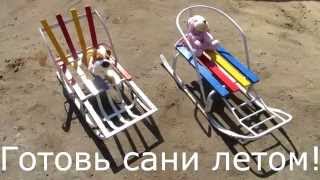 Готовь сани летом (санки металлические)