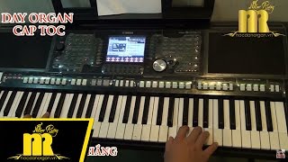 Học Đàn Organ Cấp Tốc TPHCM - VÙNG LÁ ME BAY - Trung Tâm Nhạc Rừng