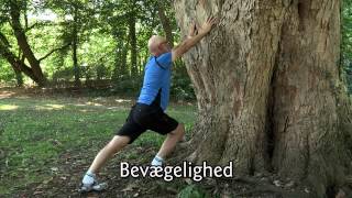 Bevægelse hele livet - vil du med? Øvelser til ældre