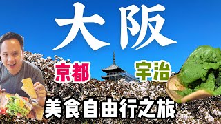 大阪自由行 2019 京都 美食之旅 大阪Outlet 國產牛燒肉放題  京都 宇治 中村藤吉 櫻花? 抺茶 紅綠之旅 大阪vlog 自駕遊 EP1