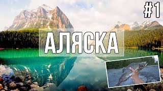 Путешествие по Аляске — ловим рыбу голыми руками | Рыбалка на Аляске!