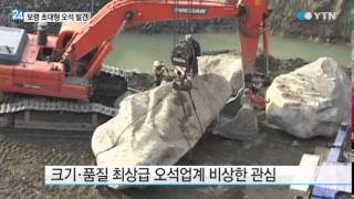 충남 보령서 2백 톤 규모 초대형 '오석' 발굴 / YTN
