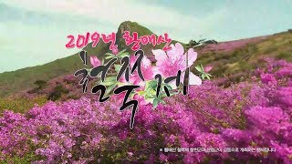 2019년 황매산 철쭉제