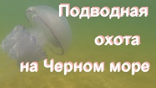 Подводная охота на Черном море.