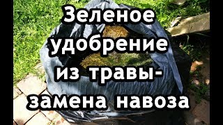 Зеленое удобрение из травы - замена навоза. Органическое удобрение.