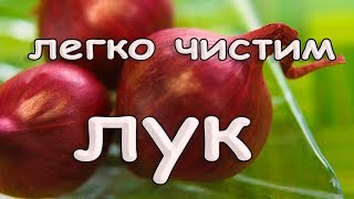 Как правильно почистить и нарезать ЛУК. Полезные ЛАЙФХАКИ с луком. Как без слёз почистить ЛУК