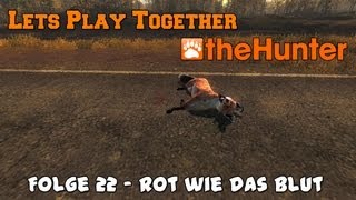 Let's Play Together The Hunter 2013 #22 - Rot wie die das Blut