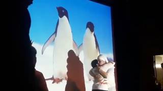 премьера спектакля Маленький принц