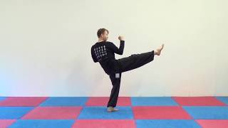 Learn Kung Fu | front kick