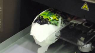 Подготовка к печати на обуви (кедах) на принтере BROTHER GT-381 с использованием Shoe Platen