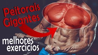 Peitoral: Melhores exercícios para gerar hipertrofia! - Dicas bônus
