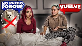 Le pido que regrese a Yolo Aventuras pero…