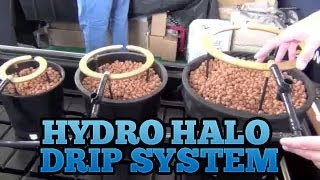 Hydro Halo Halo's - Grow Room Drip System Setup Best Easiest Drip Systems for Indoor Gardens
