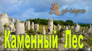 Экскурсии в Болгарии Каменный Лес / Stone Forest