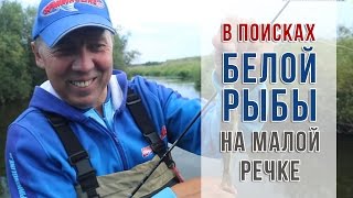 В поисках белой рыбы на малой речке