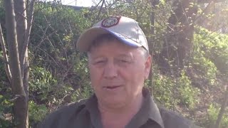 [+ЗАГОТОВКА ТРАВ В ПОЛЕ ДЛЯ ЗЕЛЁНОГО БОРЩА+] РЕЦЕПТЫ ОТ АНАТОЛИЯ