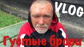ВЛОГ:Густые брови/ Рыбий жир/Танец маленьких утят !!!