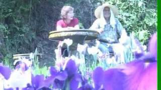 四国・愛媛県 稲積花菖蒲園"ハナショウブ園"_2008年･開始年 名所案内