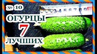 █ ОГУРЦЫ 7 лучших  сортов на 25 июня ЭКСПЕРИМЕНТ в Теплице ч. 10 / Дополнительные узлы из Пасинков