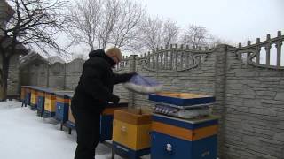 ПОДУШКИ ИЗ СТРУЖКИ   - СУХИЕ ЗИМОЙ A bed of shavings - DRY WINTER