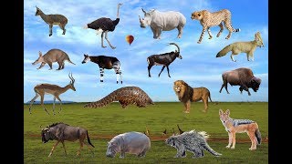 African Animals Names And sounds (All  Animals) | Learn Wild Animals For Kids | Wildlife