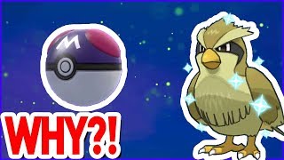 I MASTERBALLED A PIDGEY!
