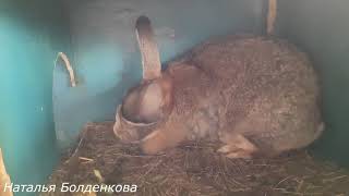 Новости недели. Середина февраля 2018.