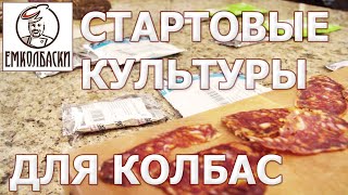 ЗАЧЕМ СТАРТОВЫЕ КУЛЬТУРЫ В КОЛБАСЕ . Нормы внесения и технология.
