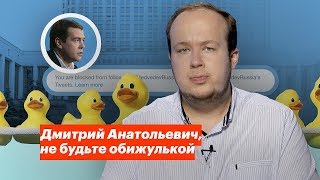 Дмитрий Анатольевич, не будьте обижулькой