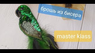 Брошь попугай своими руками, как сделать брошь из бисера, МК