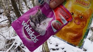 проверка капканов. охота на куницу. trapping