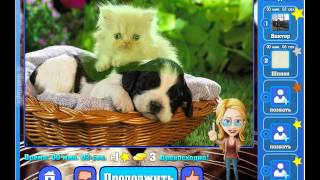 Игра Найди кота Одноклассники как пройти 601, 602, 603, 604, 605 уровень, ответы?