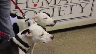 Dorothy's Adoption Day