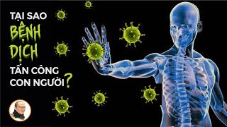 Tại sao bệnh dịch tấn công con người? | Nhà báo Phan Đăng