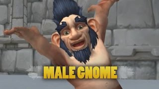 World of Warcraft: Warlords of Draenor Beta - Updated male gnome animations