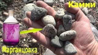 Невероятно крутой способ получить золото всем