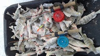 Перволёдье, ноябрь - 2016г. - лед 7 см !!! Рыбалка на Братском водохранилище!!!