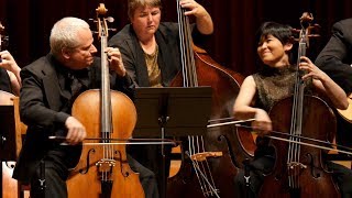 VIVALDI - Concerto for Two Cellos – René Schiffer, Mimé Brinkmann – Apollo's Fire