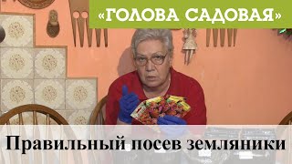 Голова садовая - Правильный посев земляники
