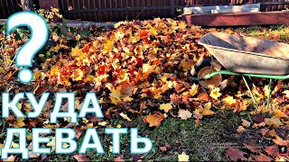ОПАВШУЮ ЛИСТВУ КАК ИСПОЛЬЗОВАТЬ?