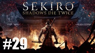 Sekiro: Shadows Die Twice. #29. Каньон. Прохождение без комментариев.