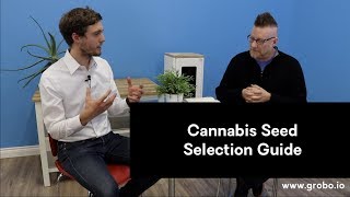 How to pick Cannabis Seed for top quality bud